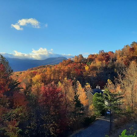3 Decks, Mtn Views! Tree Tops By Honeybearcabins - Luxury Rain Showers, 3 King Suites, Xl Hottub, Fireplace, Bear Sightings Gatlinburg Esterno foto