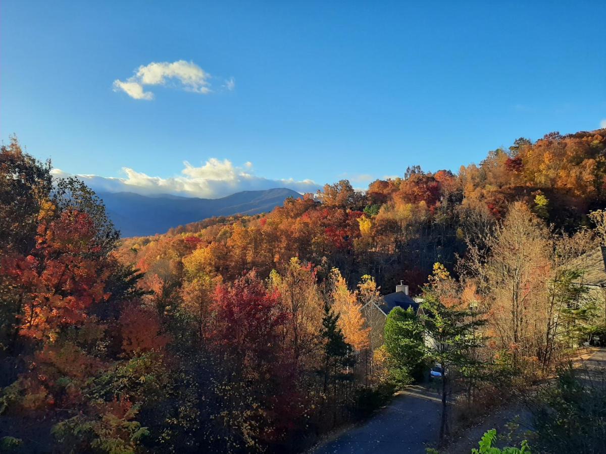 3 Decks, Mtn Views! Tree Tops By Honeybearcabins - Luxury Rain Showers, 3 King Suites, Xl Hottub, Fireplace, Bear Sightings Gatlinburg Esterno foto